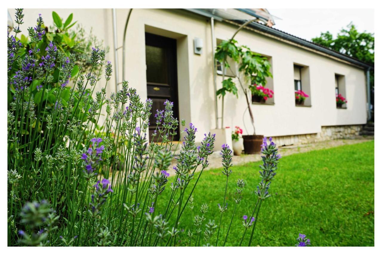 ספיטל אן דר דראו Ingrid'S Guesthouse Spittal מראה חיצוני תמונה
